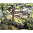thumbnail image 2 of Cezanne, Paul 14x12 White Modern Wood Framed Museum Art Print Titled - Great Pine and Red Earth, 2 of 4