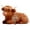 d, variant on Wind Up Highland Cow Figurine with Mechanical Key Animal Shaped Collectible Toy for Home Office Desk Decoration Gift