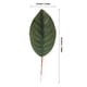 thumbnail image 3 of BRIGHTFUFU 30 piezas de hojas de magnolia artificial adornos falsos adornos de la flor de la flor hojas falsas, 3 of 7