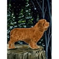 thumbnail image 1 of Carolines Treasures SS8174CHF Spaniel Drapeau Toile - Taille de la Maison, 1 of 4