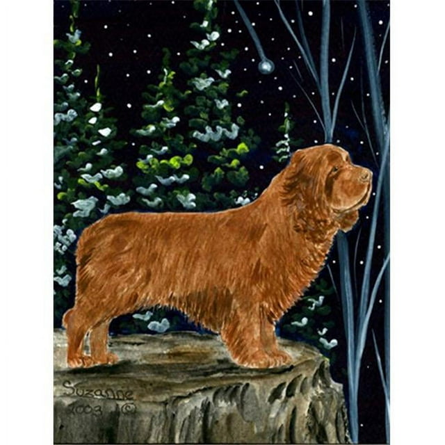 Carolines Treasures SS8174CHF Spaniel Drapeau Toile - Taille de la Maison