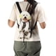 thumbnail image 5 of Portador de perros de camuflaje, Mochila porta mascotas de camuflaje Portador de mascotas de camuflaje Portador de mascotas Rendimiento de gama alta Jadeshay A, 5 of 8