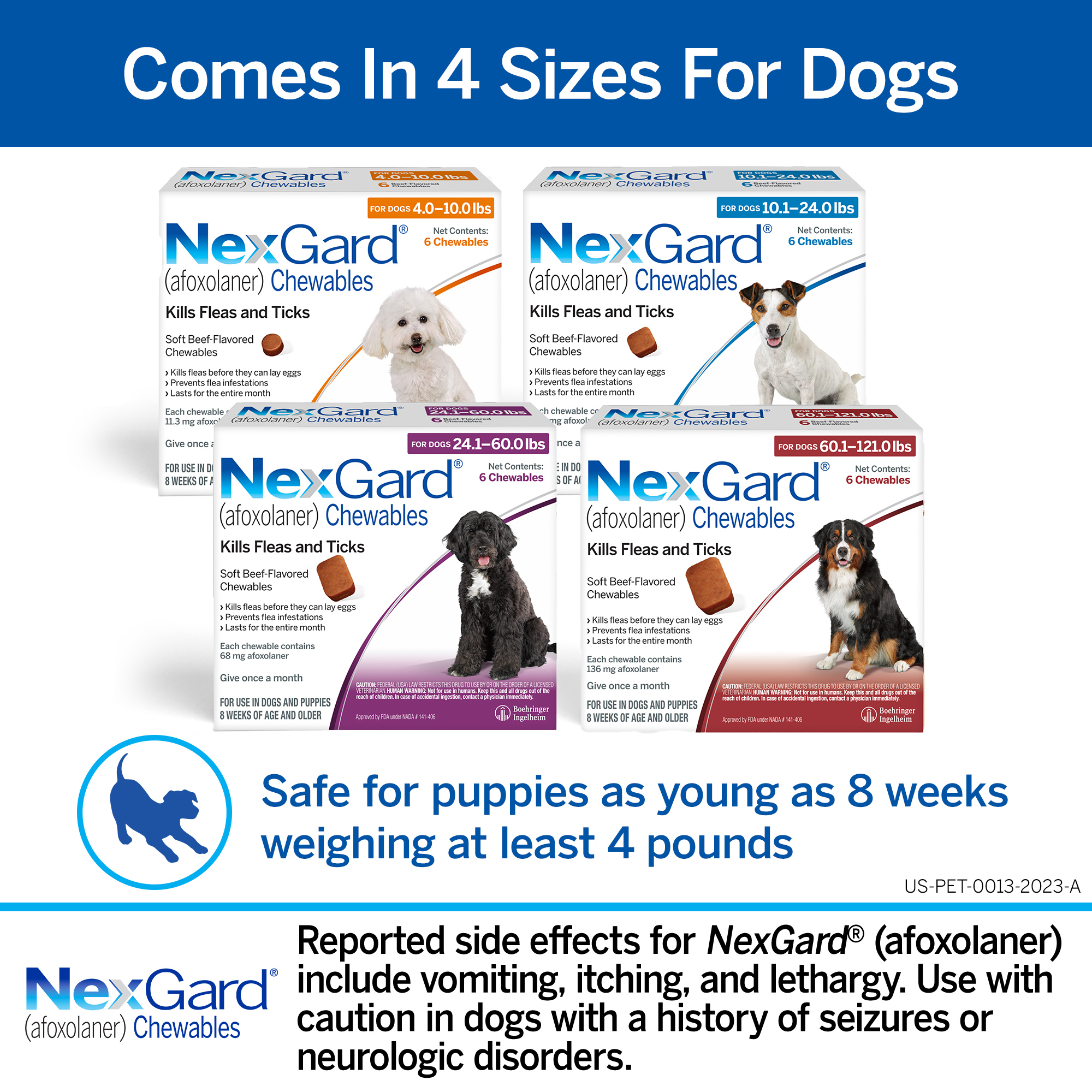 NexGard Chew for Dogs 10 1 24 lbs Blue Box 6 Chewable Tablets 