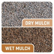 Pennington Smart Patch Centipede Seed Mix 5 lb
