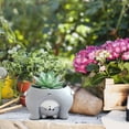 thumbnail image 5 of Clearance Desktop Ornament under $10,Succulent Planter Pot Animal Cactus Bonsai Flower Pots With Drainage Hole, 5 of 8