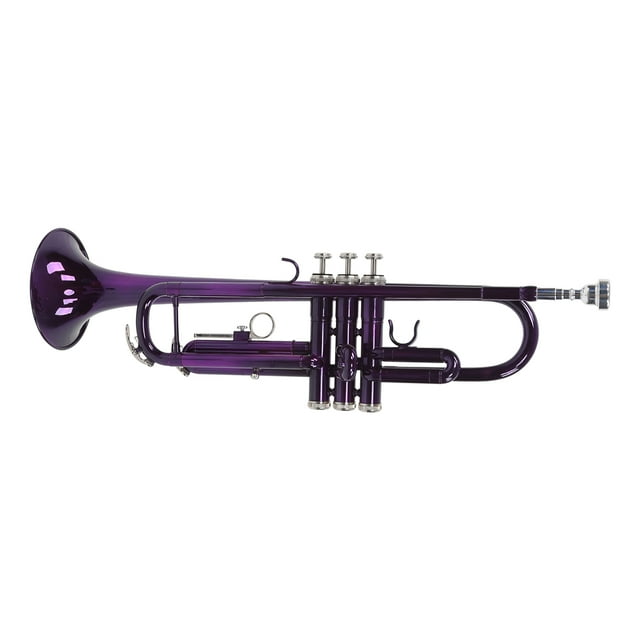 B Flat Trumpets, Trumpet Set Detachable Mouthpiece Brass Resonance With Storage Bag For Music Learning