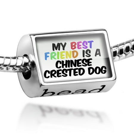 Bead My best Friend a Chinese Crested Dog from China Charm Fits All European