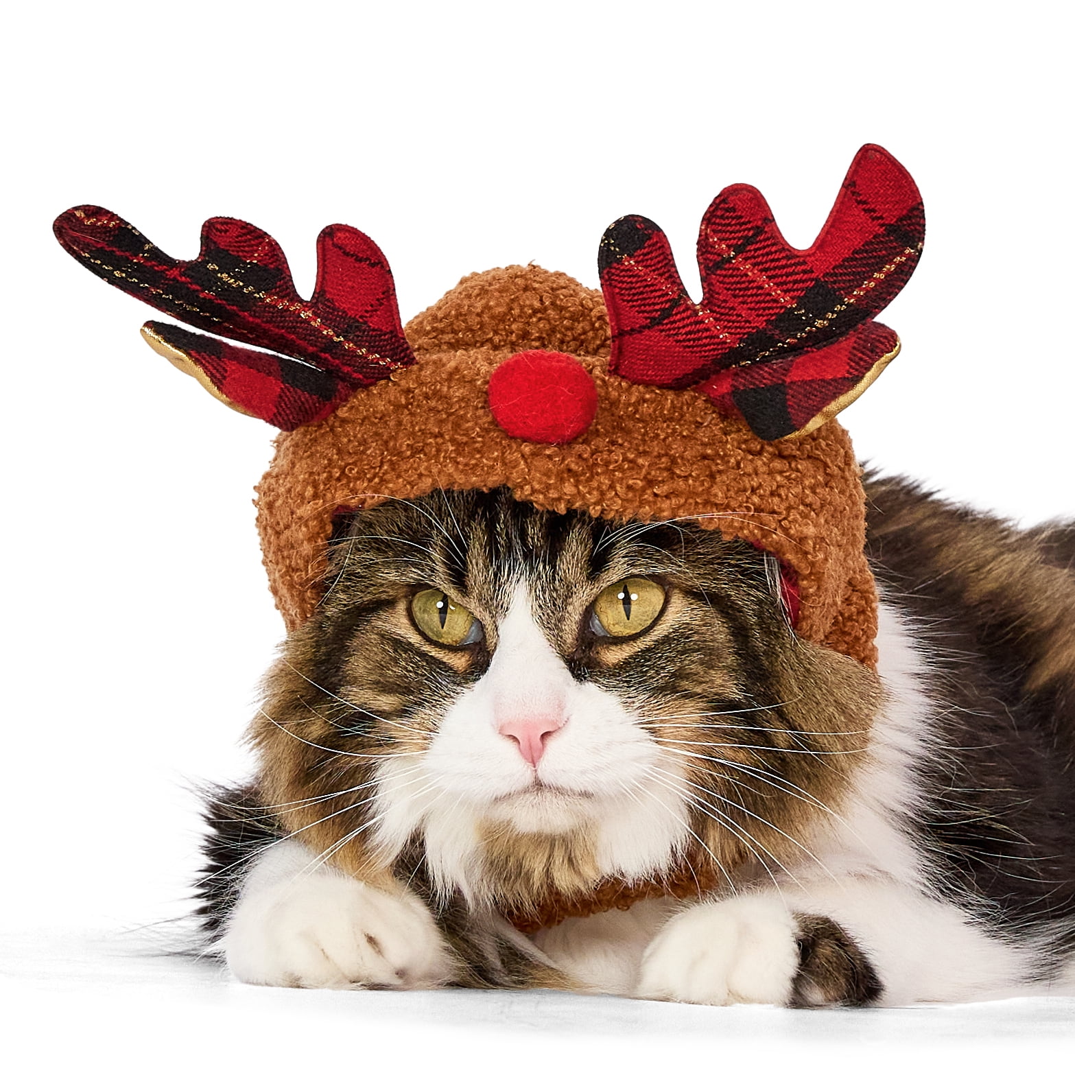 Vibrant Life Holiday Pet Reindeer Antlers Hat for Cats and Dogs, Brown, Extra Small/Small