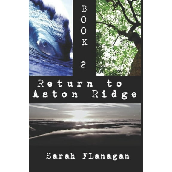 The Brothers Mecarnin: Return to Aston Ridge: Book 2 (Paperback)