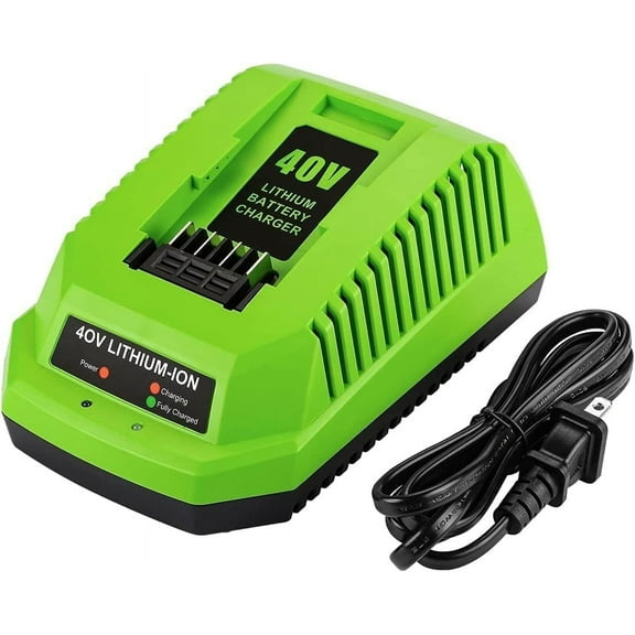 Powilling Replacement Charger Compatible with Greenworks 40V Battery Charger Lithium Ion 29482 29462 29472 2901319 2938302 BAF702 L-300 BAF704 BAF705 Compatible with 40V G-MAX Power Tools