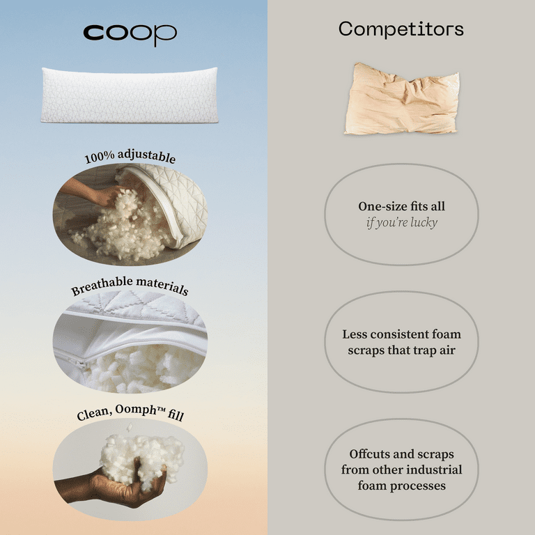 Coop Home Goods Body Pillow for Bed with White Zip Pillow Protector,  Pregnancy Pillow Bundle