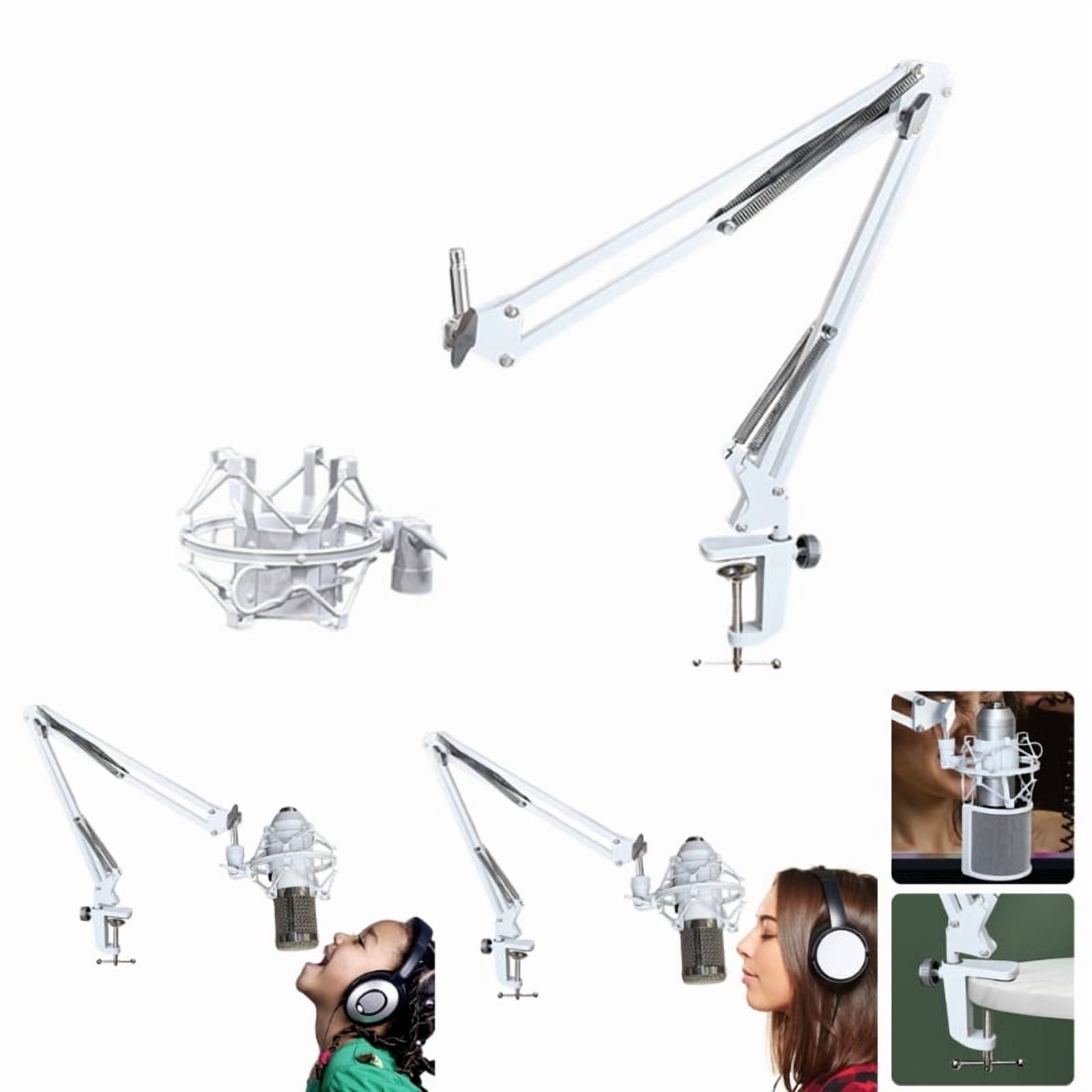 Portable Microphones Holder Arm, Multipurpose Stand for Recording Studios and Performances