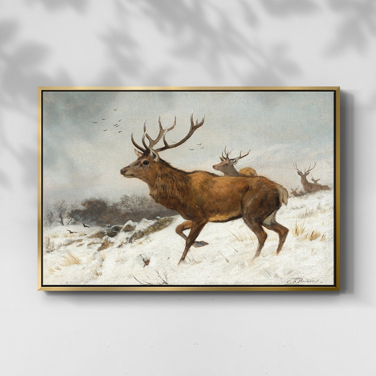 Vintage Animal Print-V By Wexford Home Framed in Gold Wood Gallery Wrapped Canvas 27 in. x 41 in.