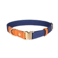 thumbnail image 1 of Vibrante en varias opciones de colores: collar para perros de nailon de primera calidad con cierre de metal, 1 of 5