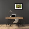 thumbnail image 3 of Jaynes Gallery 32x23 Black Ornate Wood Framed with Double Matting Museum Art Print Titled - USA-Washington-Seattle-Japanese maple tree with twisted branches, 3 of 4