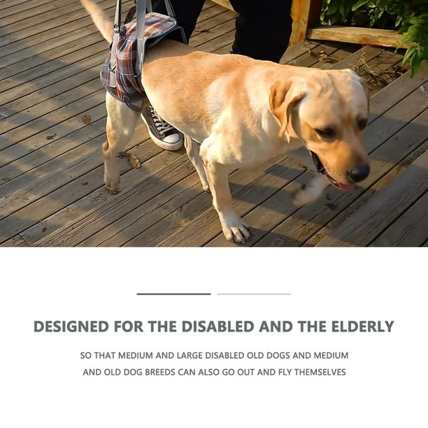 Seeing eye clearance dog harness design