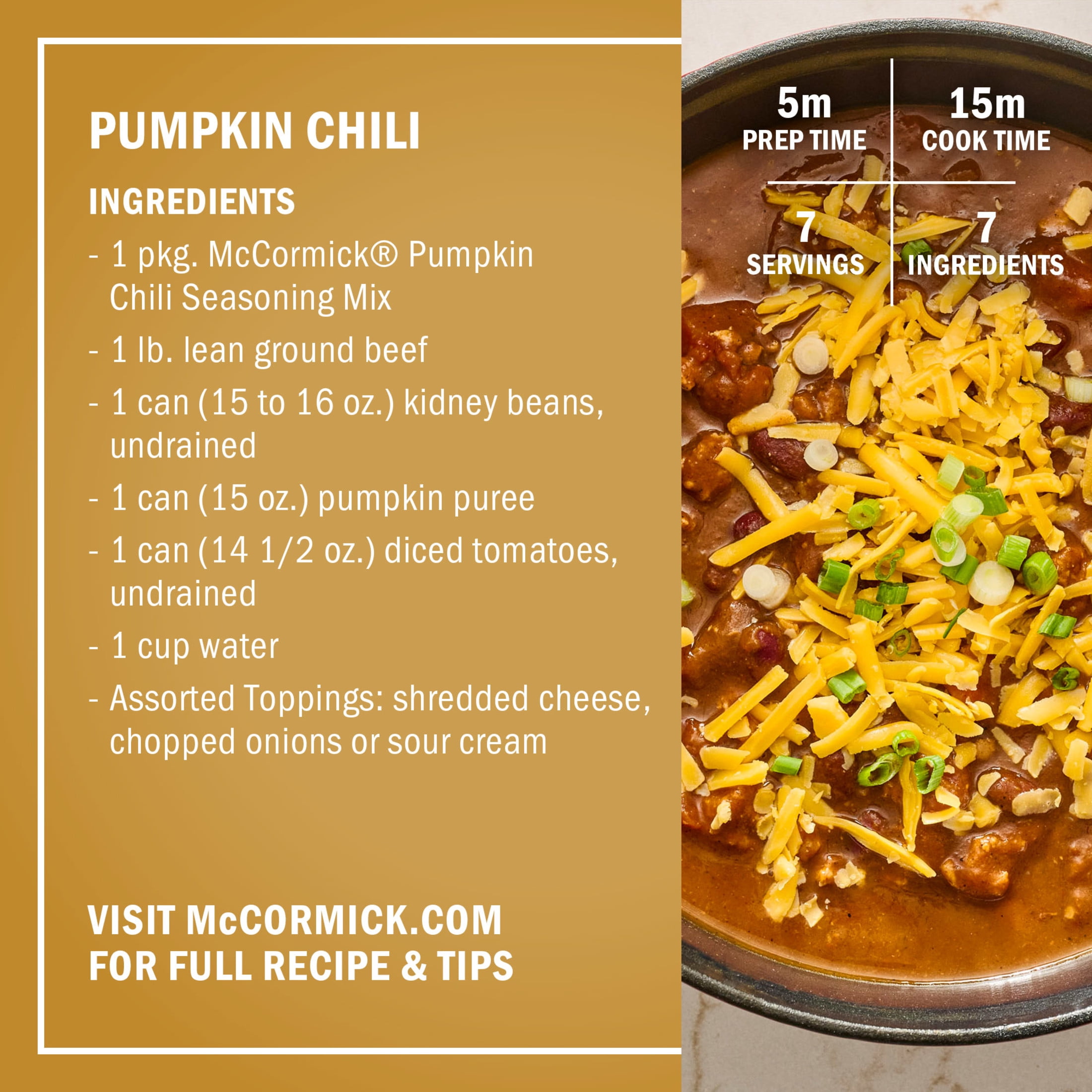 (5 pack) McCormick Pumpkin Chili, 1.25 oz Packet