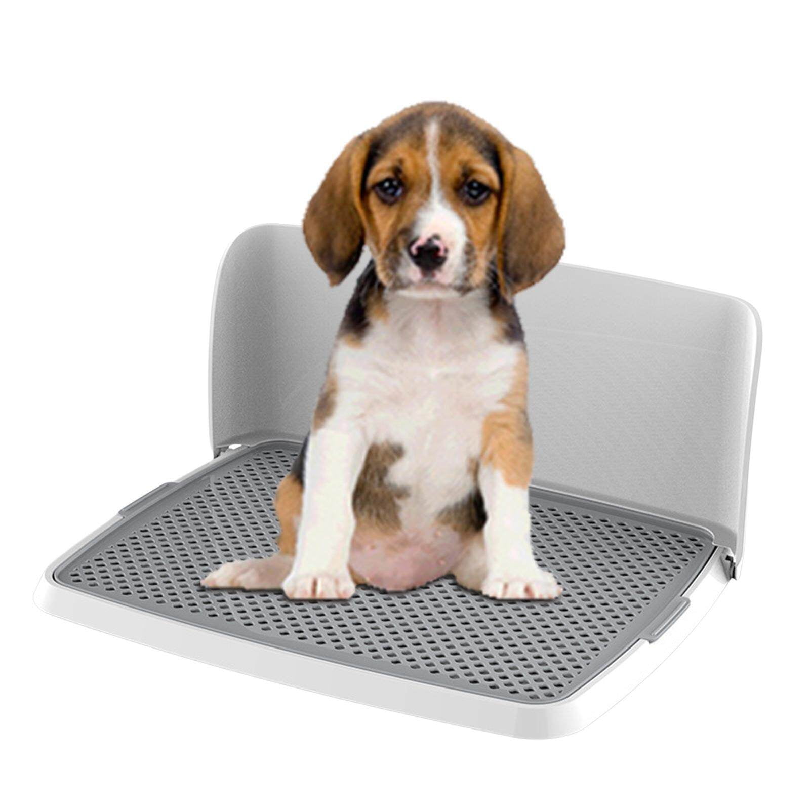 Dog bathroom hot sale