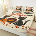 thumbnail image 3 of Manfei Cartoon Cat Kitten Twin Sheet Sets,Happy Halloween Twin Fitted Sheet,Pumpkin Spider Webs Bat Flat Sheet For Boys,Ultra Soft Home Decor,3 Pieces, 3 of 7