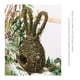 thumbnail image 5 of Jaula de Ratán para Pájaros, Jaula para Loros, para Pinzones, Periquitos, Cacatúas, Guacamayos,, 5 of 9