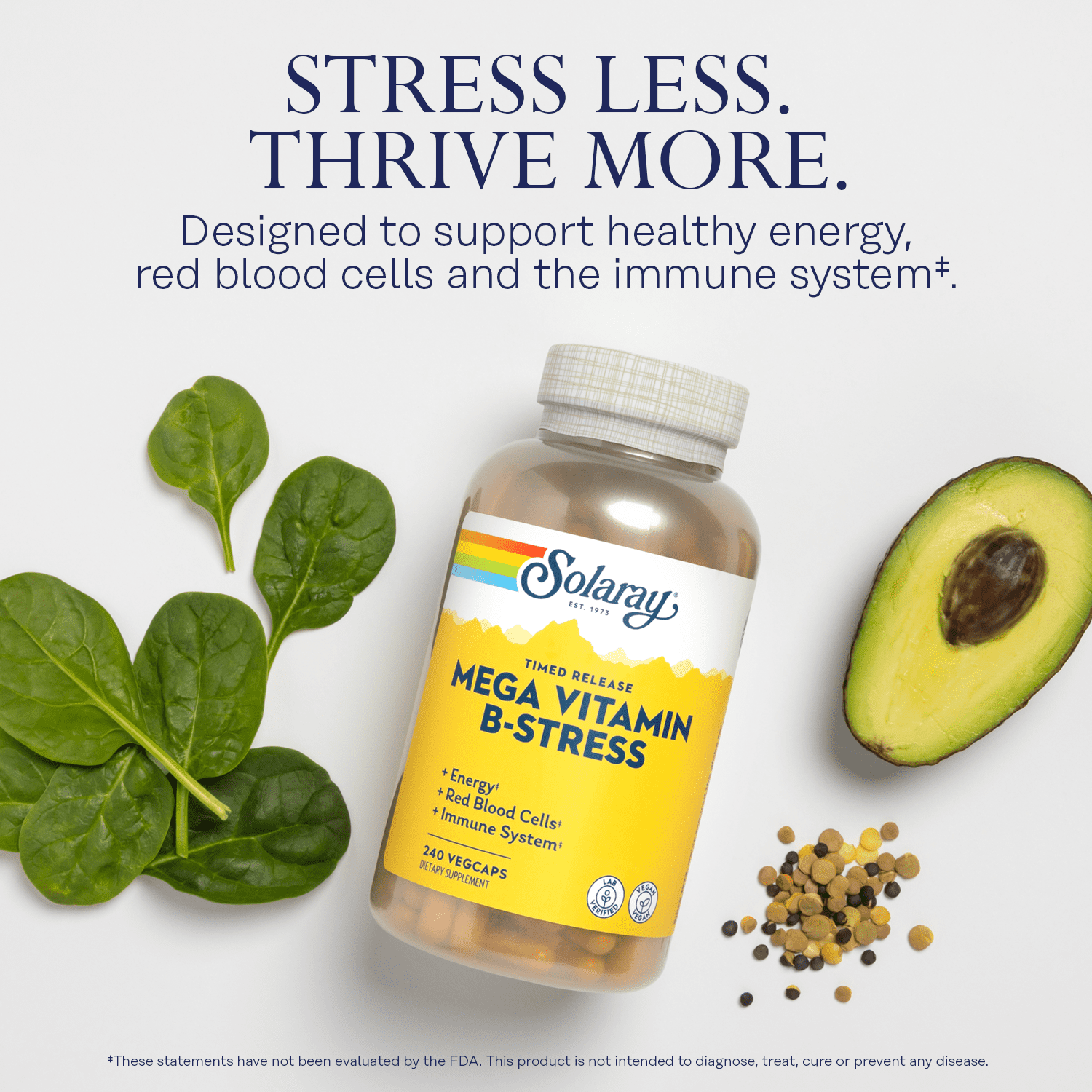 Solaray Mega Vitamin B-Stress, Two-Stage Timed-Release | Specially Formulated w/ B Complex Vitamins for Stress Support | Non-GMO | Vegan | 240 Tabs
