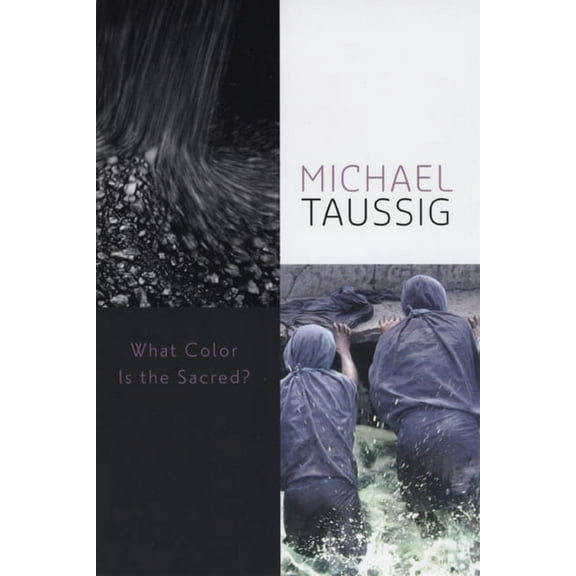 What Color Is the Sacred? (Hardcover)