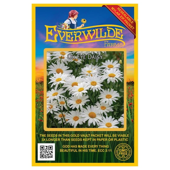 Everwilde Farms - 2000 Ox Eye Daisy Garden Flower Seeds - Gold Vault Jumbo Bulk Seed Packet