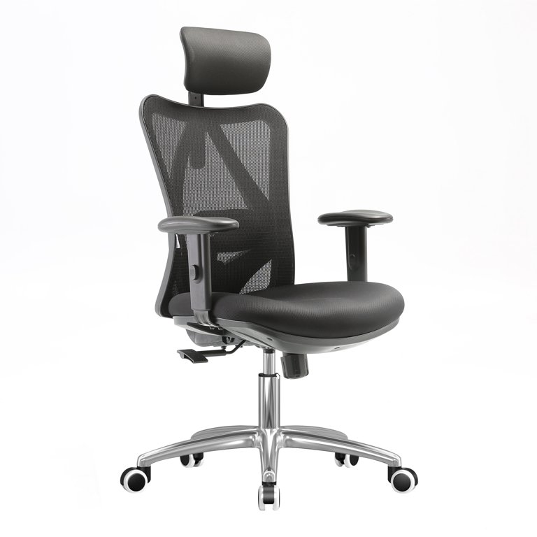 Sihoo M18 Ergonomic Computer Office Chair Lumbar Support and Mesh