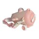thumbnail image 5 of Botella de agua de avión para niños, taza con , taza para beber, botella para senderismo Rosa, 5 of 8