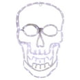 thumbnail image 3 of Northlight LED Lighted 4 Function Skull Halloween Window Decoration - 18", 3 of 10