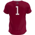thumbnail image 3 of Youth GameDay Greats  Garnet South Carolina Gamecocks Lightweight Soccer Fashion Jersey, 3 of 4