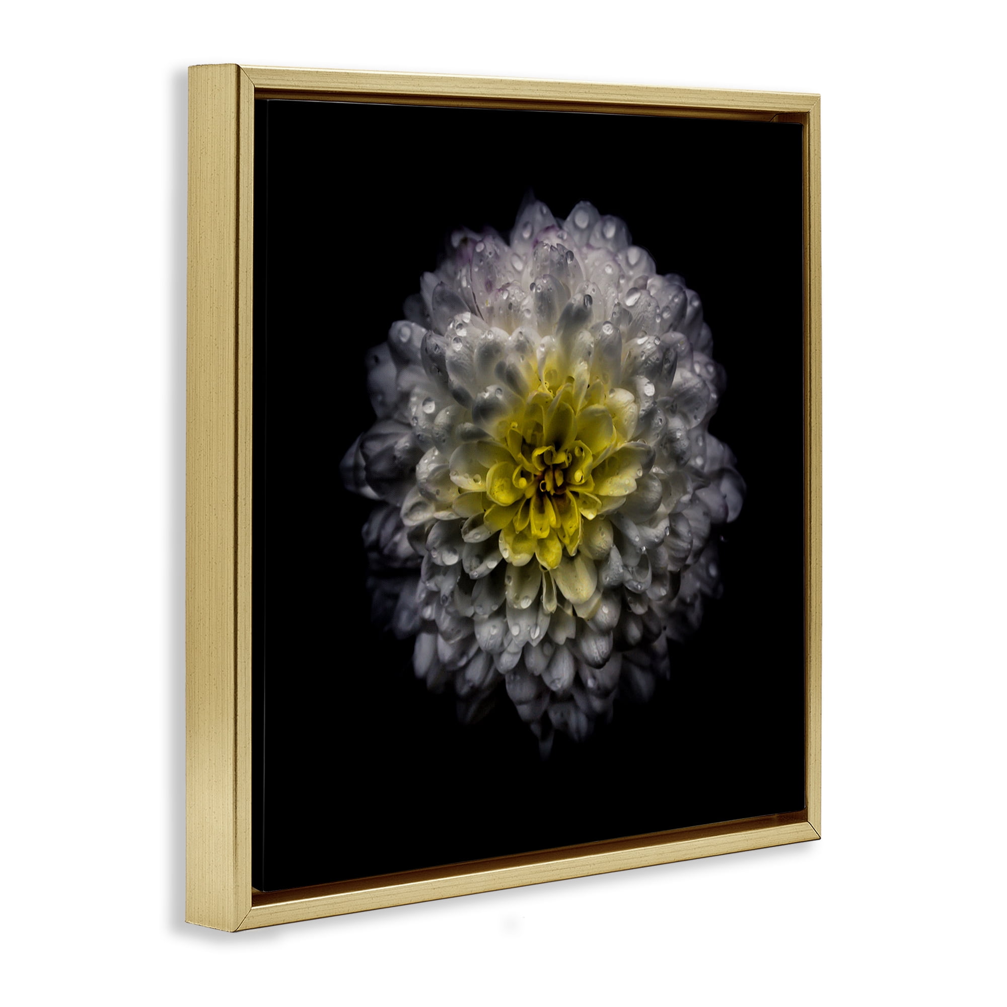 White And Yellow Mum Gold Framed Floater Canvas Wall Art, design by Brian Carson Photography