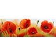 thumbnail image 2 of Villa, Luca 24x11 White Modern Wood Framed Museum Art Print Titled - Poppies in the wind, 2 of 4