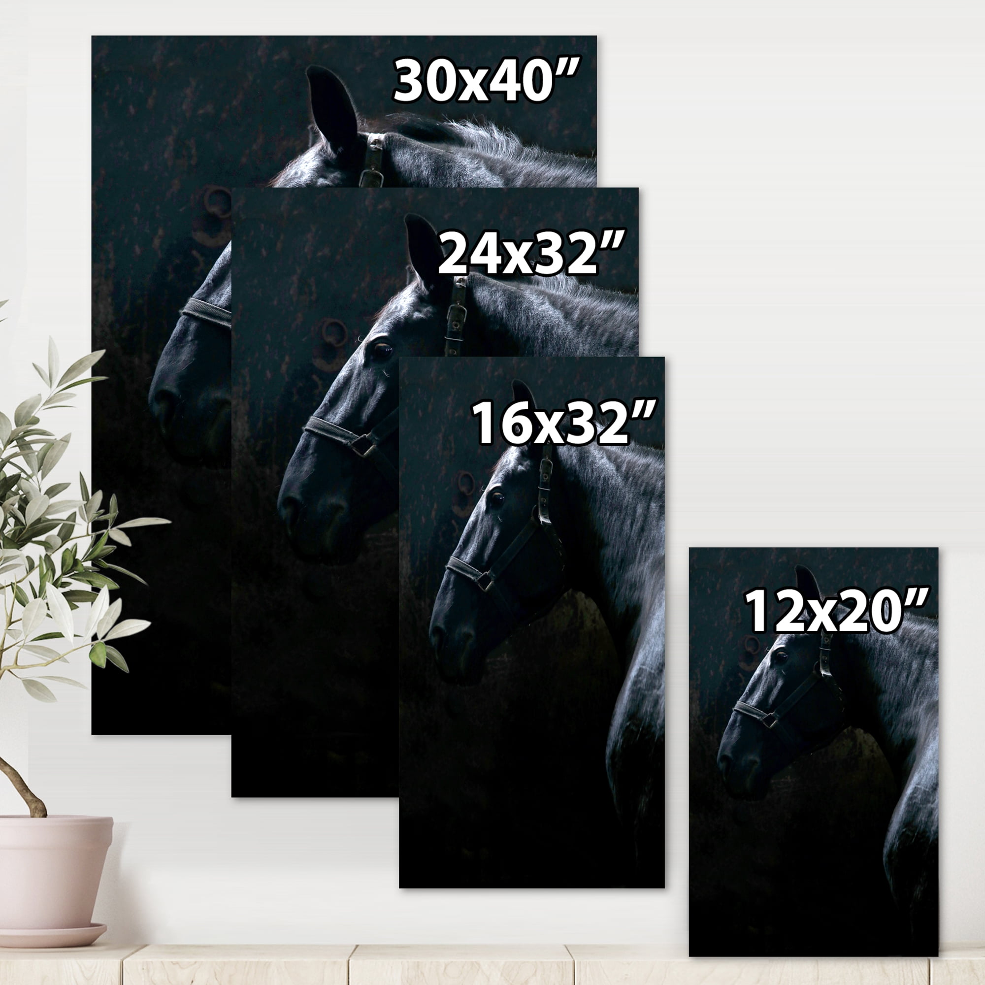 Close Up Of Thoroughbred Nonius Stallion Horse II 8 in x 12 in Painting Canvas Art Print, by Designart