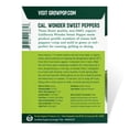 thumbnail image 3 of Purely Organic Heirloom Sweet Pepper Seeds (California Wonder) - Approx 35 Vegetable Seeds - Crisp & Mild, Full Sun, Non-GMO - for 2022 Season, 3 of 5