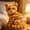 A, variant on Plush Cat Stuffed Animal, Sitting Head-Tilt Tabby Cat Plush, Soft Cuddle Companion & Display Accent, Adorable Striped Tabby Style