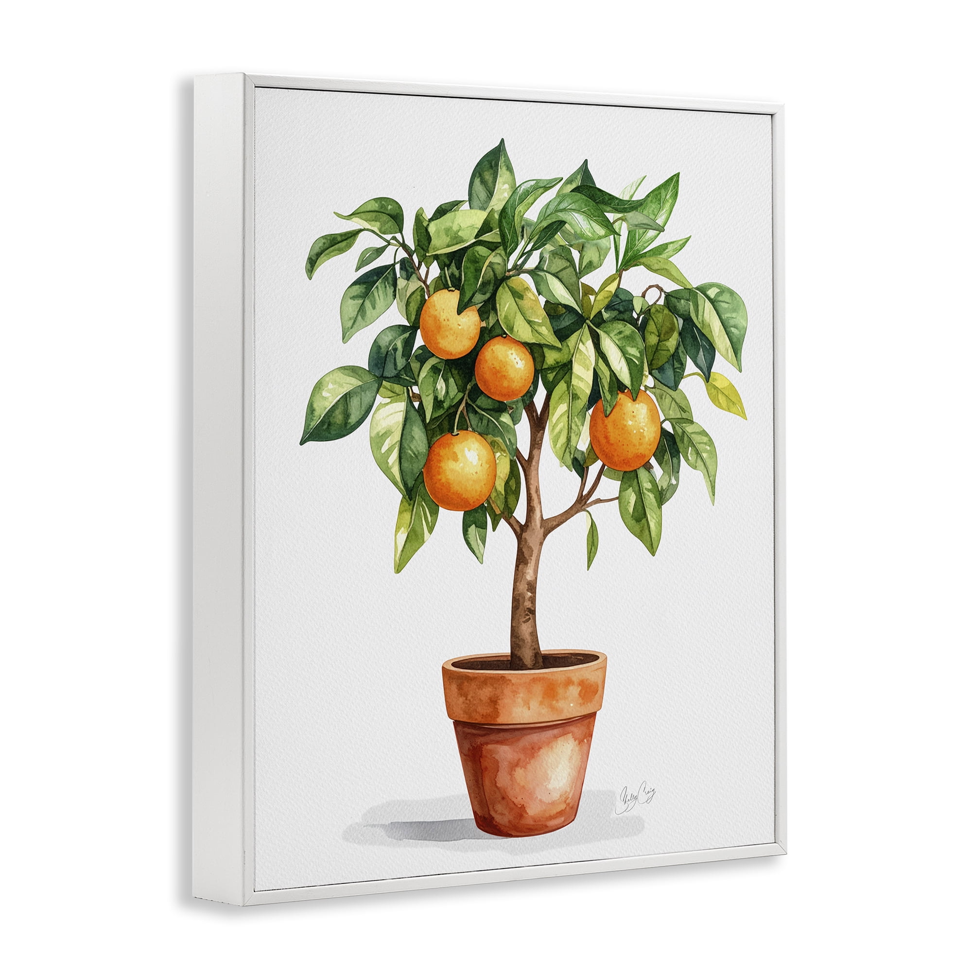 Stupell Industries Potted Orange Tree White Framed Giclee Art, design by Shelly Craig