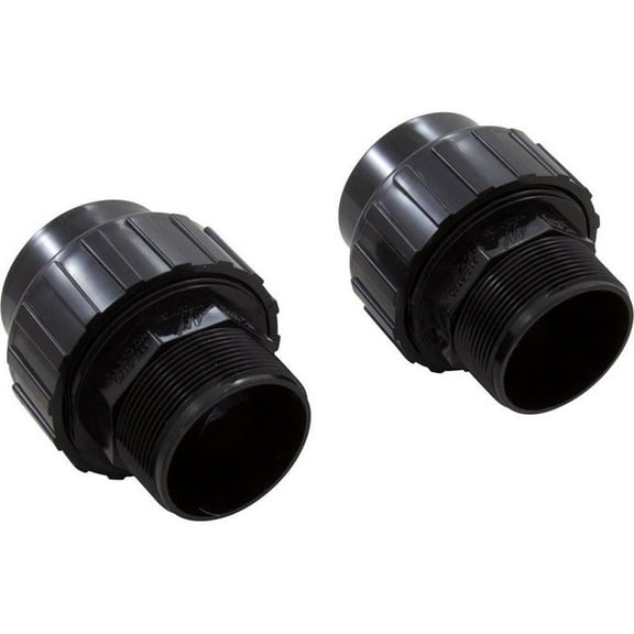Waterway Plastics 400-9631-2B Black-Colored Union WW Champion, 2" MBT&S, Qty 2