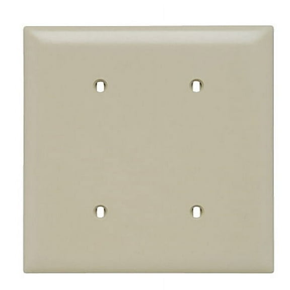 Pass & Seymour Legrand TP24-I 2-Gang Blank Wall Plate, Strap Mount, Trademaster Size Cover, Unbreakable Nylon,Ivory