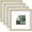 Distressed Wood Grain, variant on 8x8 Picture Frames Made of Solid Wood with Plexiglass, Display Pictures 4x4/6x6 with Mat or 8x8 Without Mat Set of 4 for Tabletop and Wall Mounting, Oak Wood