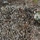 thumbnail image 5 of Camouflage Net Bulk Roll Mesh Cover Blind for Hunting Decoration Sun Shade Party Camping Outdoor Camo Netting Awning Jungle, 5 of 5