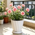 thumbnail image 4 of Hyknon 6.3 Inch Planter Pot with Saucer, Modern Indoor Plastic Plant Pot for Herbs and Flowers, Lightweight Flower Pot Container for Home Office Desk Window Sill Decor, 4 of 6