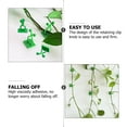 thumbnail image 3 of FUTUREORYY 10Ud Clip Para Plantas De Pared Con Adhesivo Fuerte Para Jardinería, 3 of 8