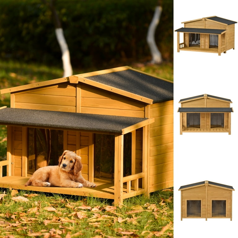 Adult dog house 2025