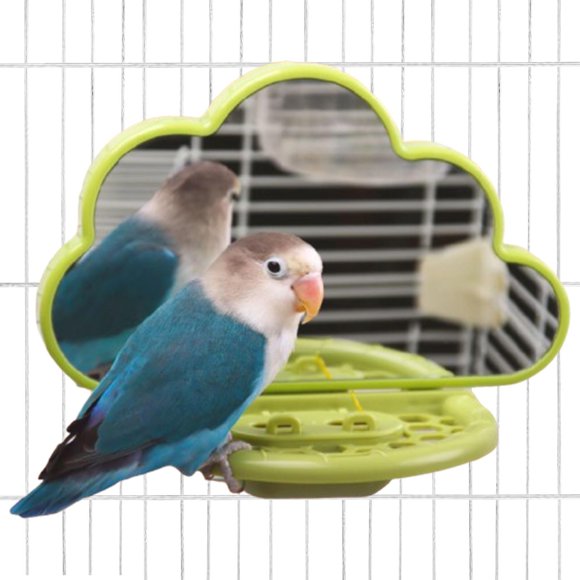 Espejo de Juguete para Pájaros Salvador Accesorio para Jaula Verde