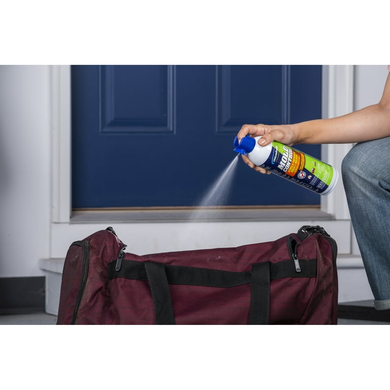 Mold Spores How To Remove Mold From Canvas Bags Mold Damage How To