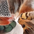 thumbnail image 2 of 8 Styles Assorted Craft Feathers (160Pcs), Natural Chicken Feathers for DIY Earring Wings Dream Catcher Crafts Activities Project Wedding Party Home Decoration Carnival Costume Party Mask Decoration, 2 of 7
