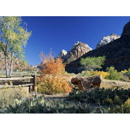 View from Visitor Centre to Peaks Above Zion Canyon in Autumn, Zion National Park, Utah, USA Print Wall Art By Ruth