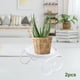 thumbnail image 1 of Soporte de plantas de trabajo de 2 piezas para anti- revestido con recubrimiento del soporte en Soporte de rack de piso p blanco Macarena soporte de soporte, 1 of 8
