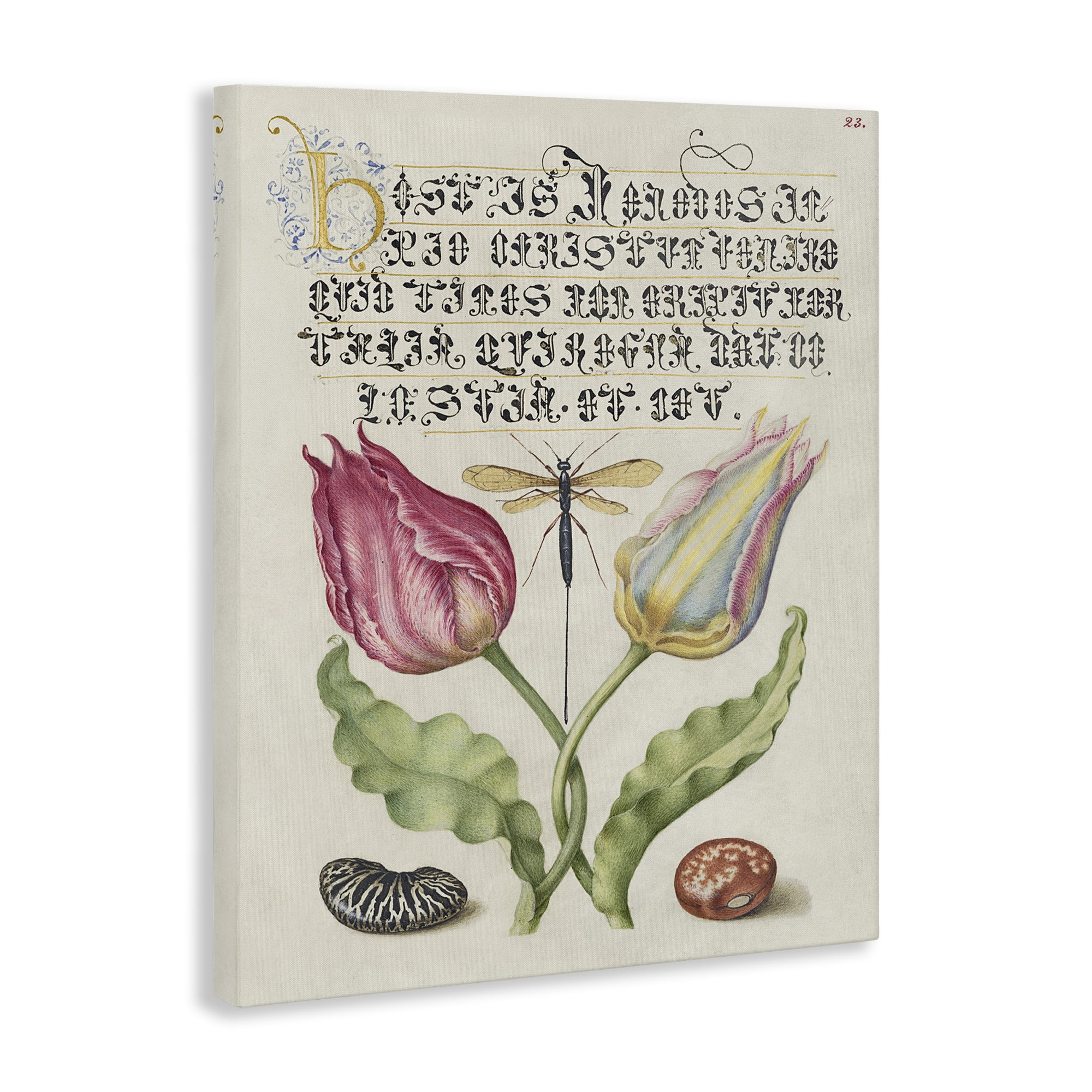 Stupell Industries Vintage Intertwined Flowers Text & Numbers Painting Wrapped Canvas Art Print Wall Art, 36 x 48
